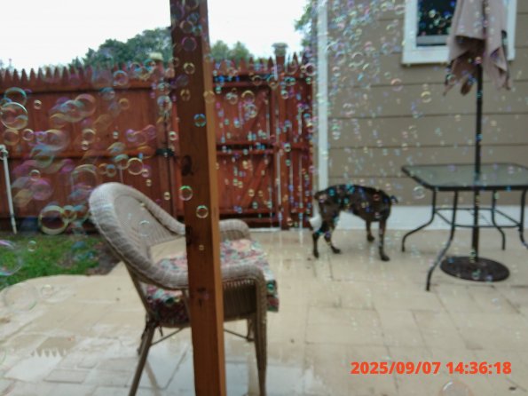KODAK Digital Still Camera